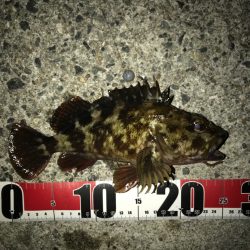 穴釣り最後に！