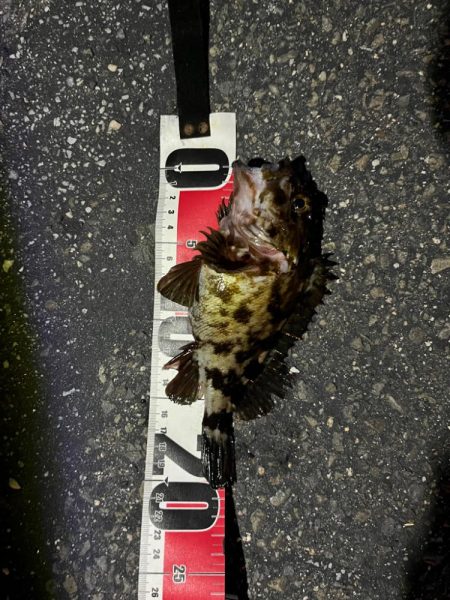 何とかライトゲーム成立の四日市