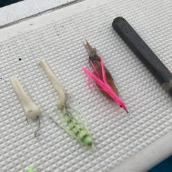 大阪湾＊クログチ☆