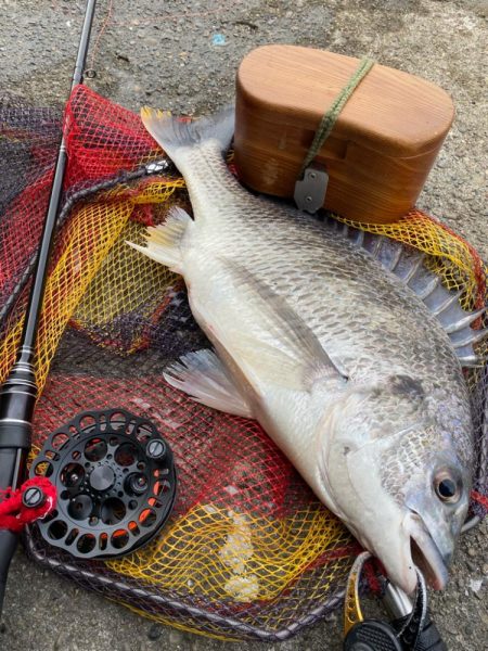 ヘチってきました