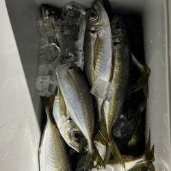 初ボートアジング