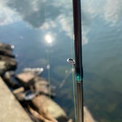 また冷えて来ました