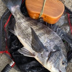 ヘチってきました