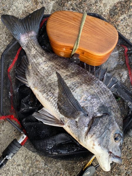 ヘチってきました