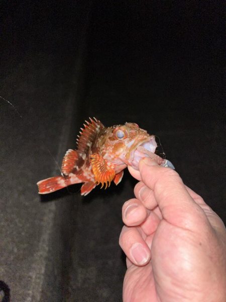 仕事帰りのちょこっとライトワインド♪