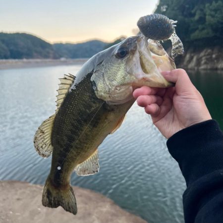 稚ギル喰いを求めて