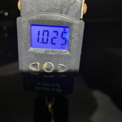 タコ、キロオーバー