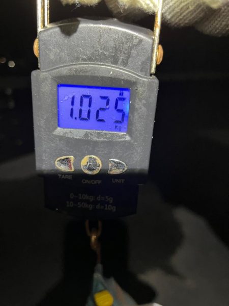 タコ、キロオーバー