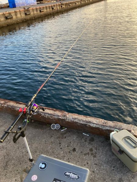 エビ撒きでハネ