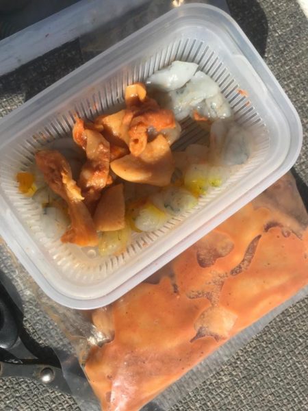 室津のカットウ釣り