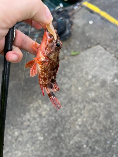 旅行のスキマ時間ライトゲーム