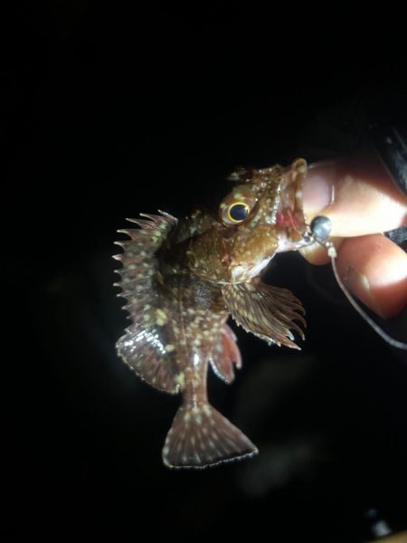 いつもとは違うポイントへ