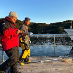 あなたに逢い鯛釣り堀　夕まずめ