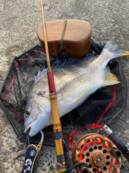 ヘチってきました