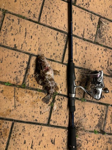 アタリはあるがなかなか乗らず