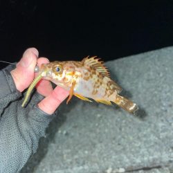 和歌山遠征😎😎