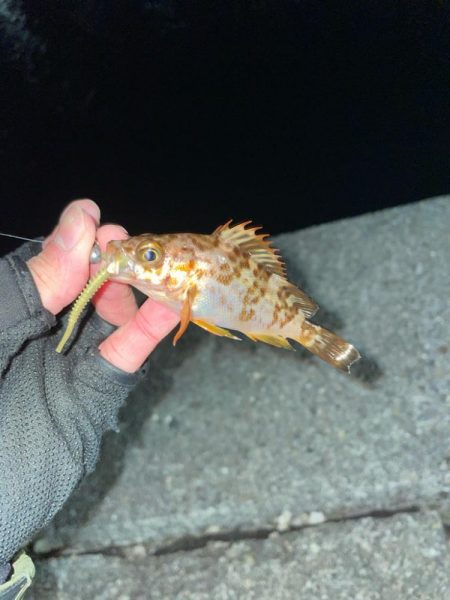 和歌山遠征😎😎