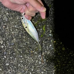 ライトゲームin和歌山