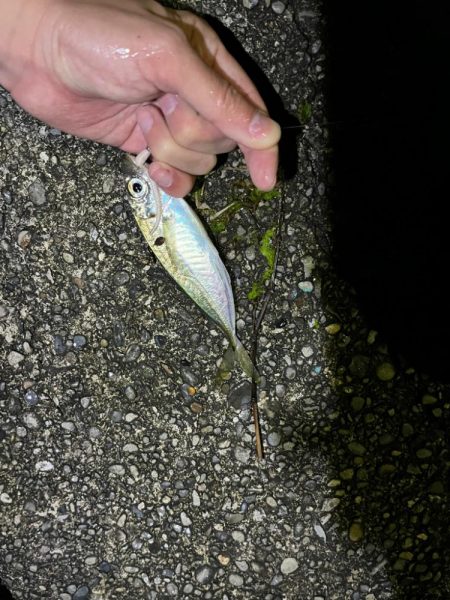 ライトゲームin和歌山