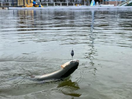 平日は釣り人も少ない、かめプー