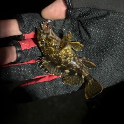 つらかったーーー