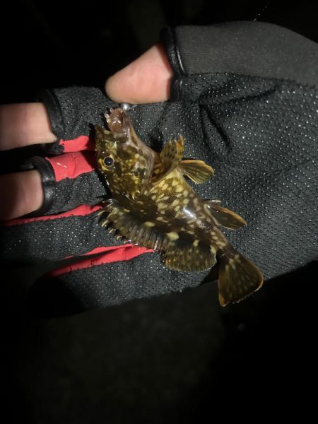 つらかったーーー