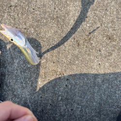 真昼間の短時間ライトゲーム