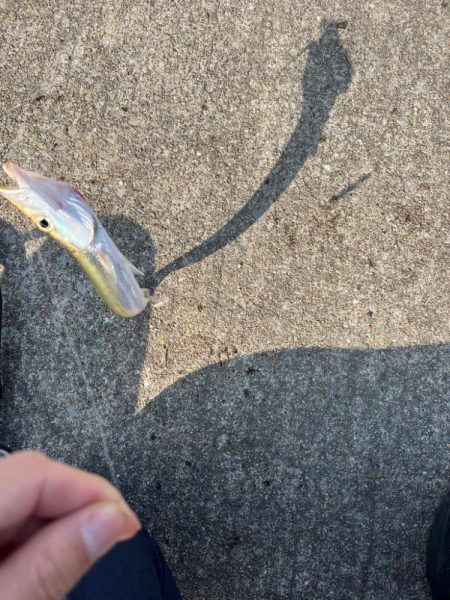 真昼間の短時間ライトゲーム