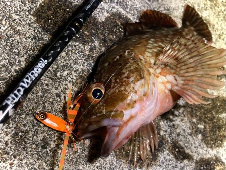 豆クネクネでまさかのヒラメにゃ！