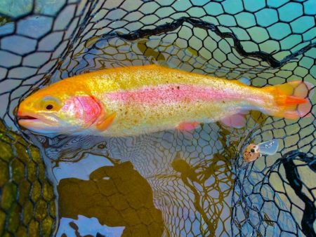 OPEN！リバーランズ山都！