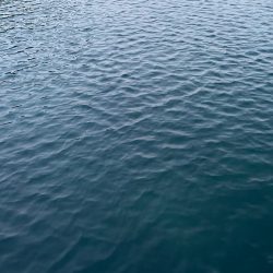 ランガンアジング