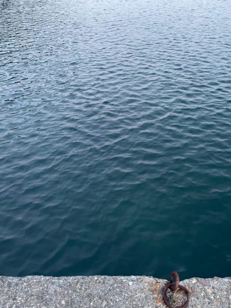 ランガンアジング