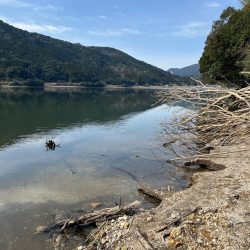 2024年ホームレイク