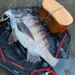 ヘチってきました