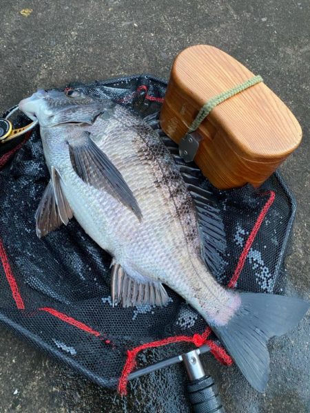 ヘチってきました