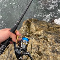 新規開拓したよ