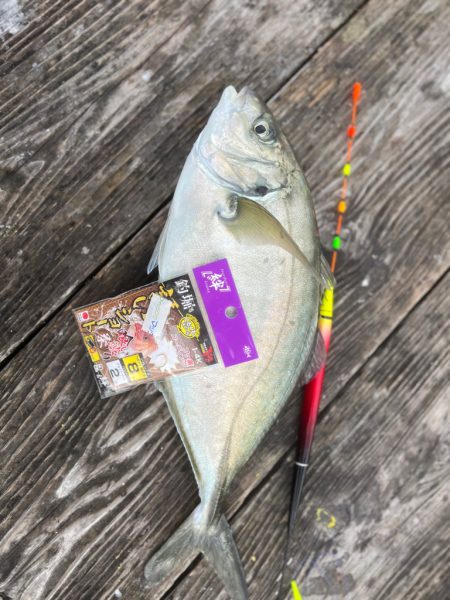 少人数貸し切りで釣堀紀州🎣