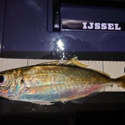 鼻水ジュルジュル罰ゲームアジング