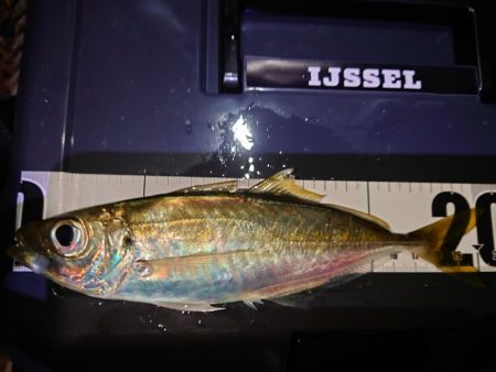 鼻水ジュルジュル罰ゲームアジング