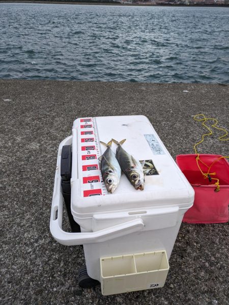 ギガアジを狙って