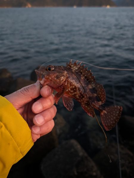 陸っぱり釣行記