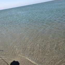 由良川河口にて