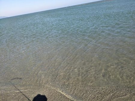 由良川河口にて