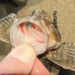 明石港東外港西防波堤灯台