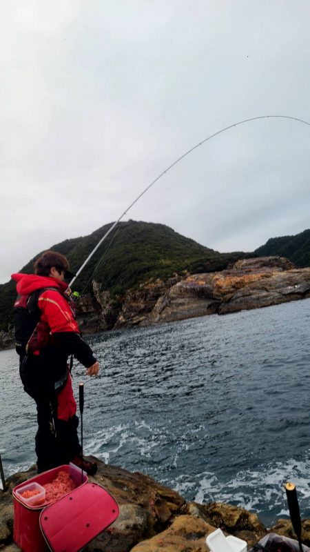 和歌山市江(吉丸渡船)でグレ釣り