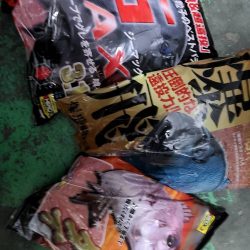 和歌山市江（吉丸渡船）でグレ釣り