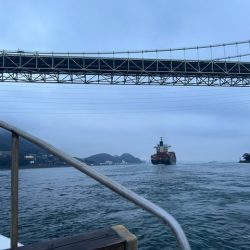 今年も関門アラカブ狙って行って来ました