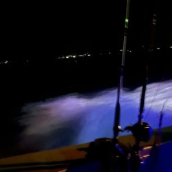 鹿児島のノッコミ真鯛を釣ってきました