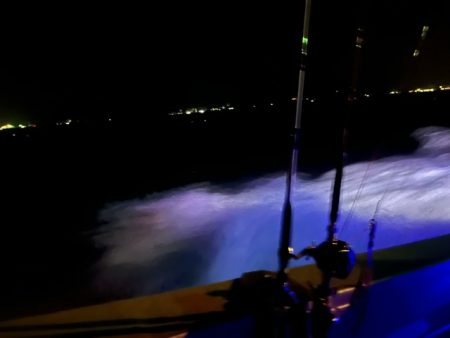 鹿児島のノッコミ真鯛を釣ってきました