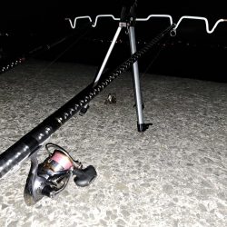 どでかいアイナメ